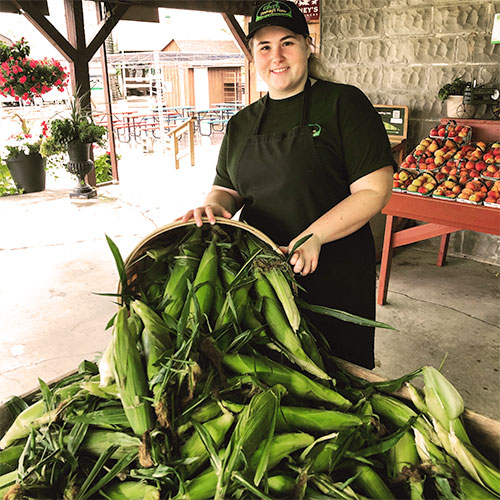 Locally grown, farm fresh vegetables and fruit at Downey's Farm, Caledon, Ontario west of Toronto.  