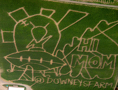 downeys corn maze