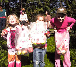 Pick your own apples at Downey's Farm, Caledon, Ontario west of Toronto.