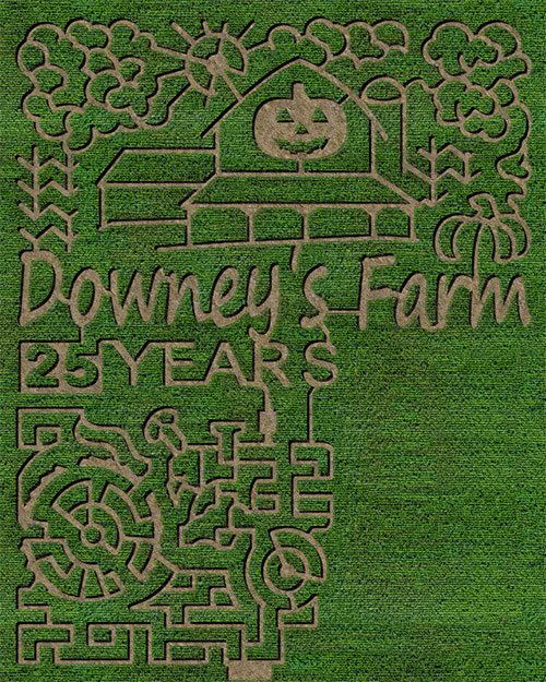 corn maze Brampton