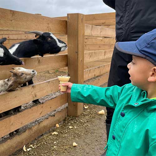 Your kids meet our kids on the educational field trip to Downey's Farm, Caledon, Ontario west of Toronto. 